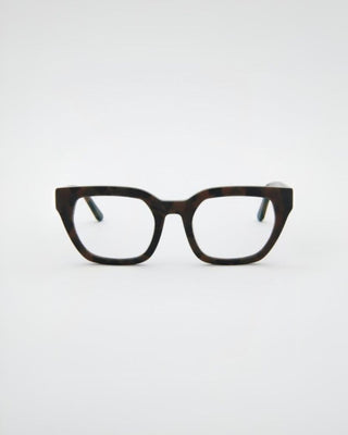 Kiara Turtle Brown Blue Light