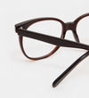 Maya Dark Brown Blue Light