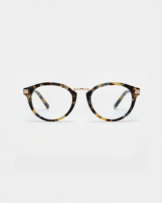 Ann Brown Havana Readers