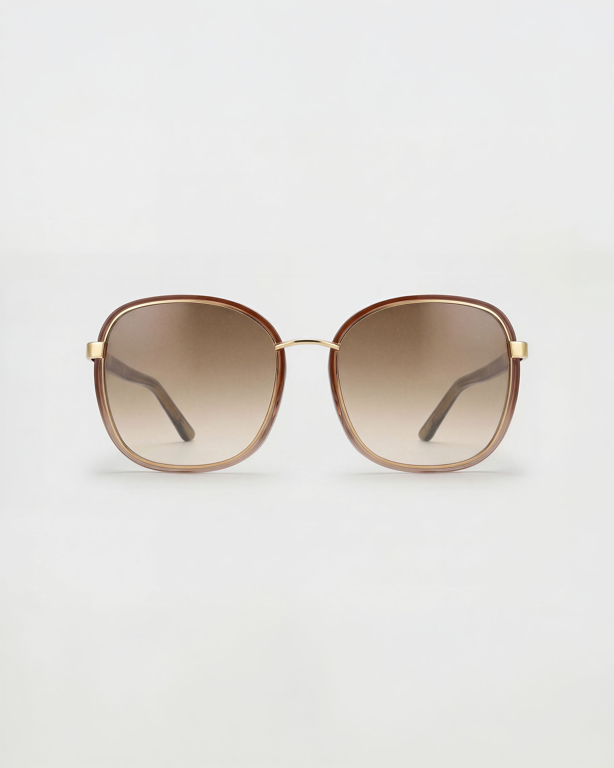 Celine Honey Havana Sunglasses