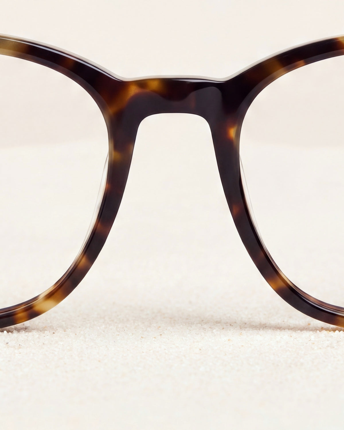 Zoey Amber Turtle Readers, detail