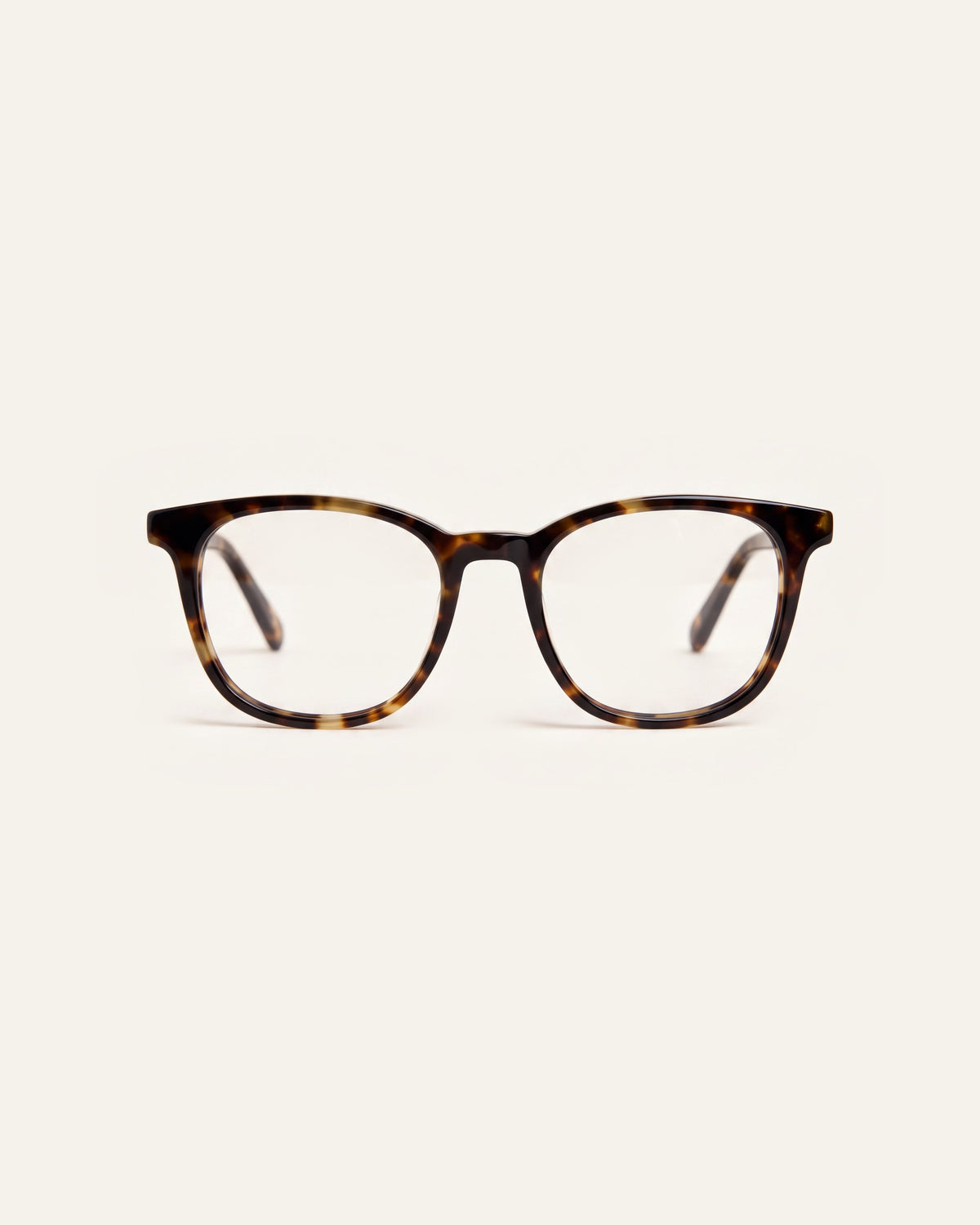 Zoey Amber Turtle Readers, front