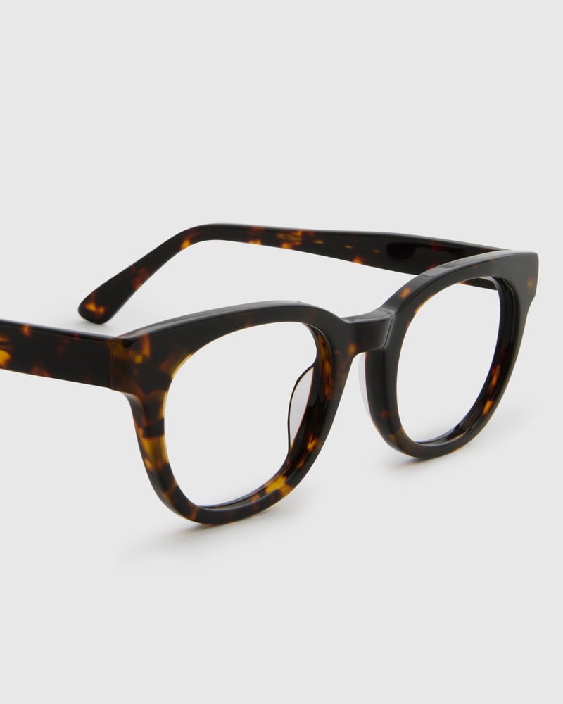 Jamie Turtle Brown Readers