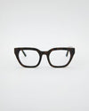 Kiara Turtle Brown Blue Light