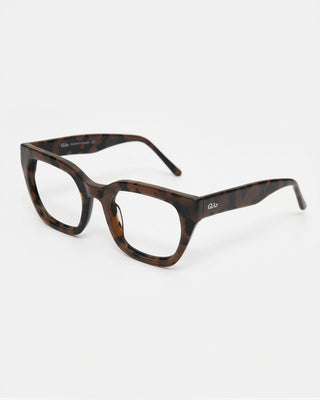 Kiara Turtle Brown Readers