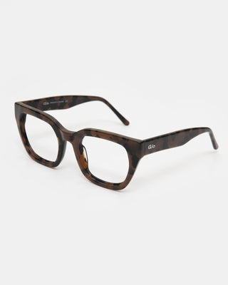 Kiara Turtle Brown Readers